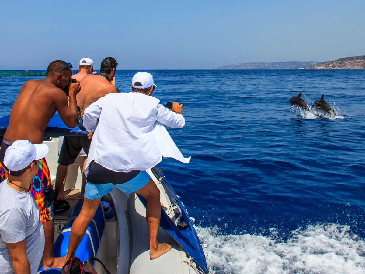 Marine Biology Cruises by Blutopia