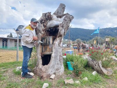 Bee's house Ρόδος