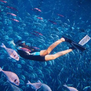 Marine Biology Cruises by Blutopia