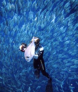 Marine Biology Cruises by Blutopia