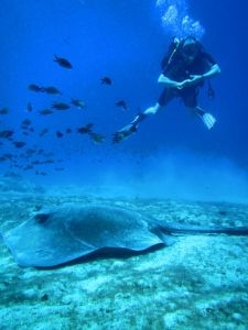 Centro immersioni Blutopia