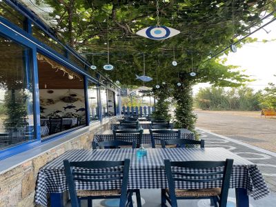 Το Φρέσκο Ψάρι Ρόδος