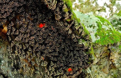 Prywatna Wycieczka Dolina Motyli